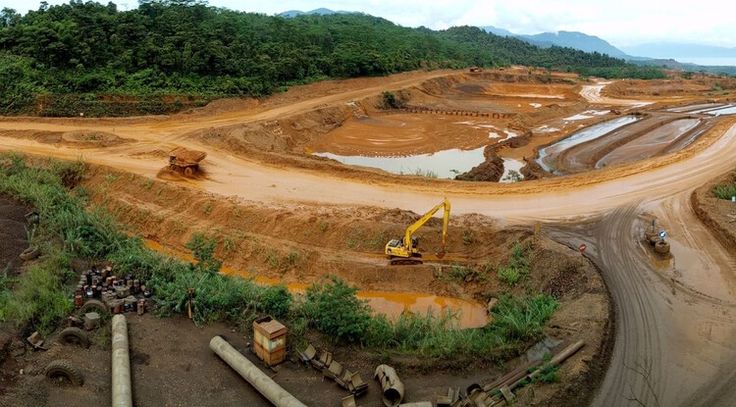 Darurat Deforestasi Maluku Utara